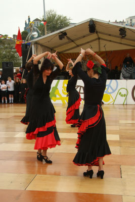 Liberation Day 2008 (1279)