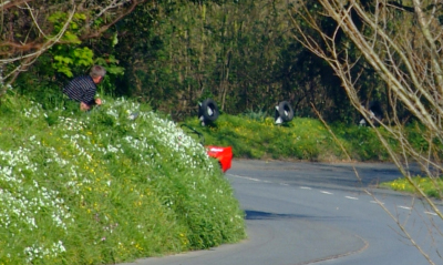 DSCF2433_Crop