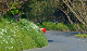 DSCF2433_Crop