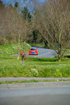 DSCF2078_Web